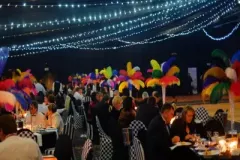 DSCF0851