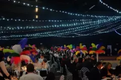 DSCF0857