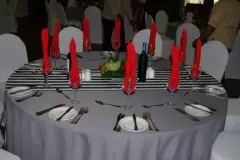 ammsa-general-meeting-26-may-2017-54-800x512