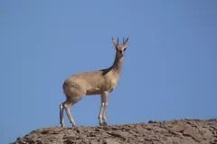 dsc03030